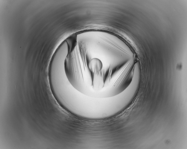 X0000098171283200805221507