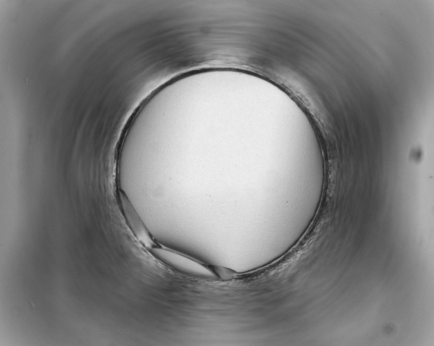 X0000098171284200805221507