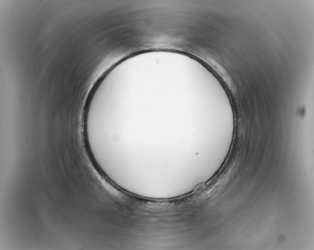 X0000098171285200805221507