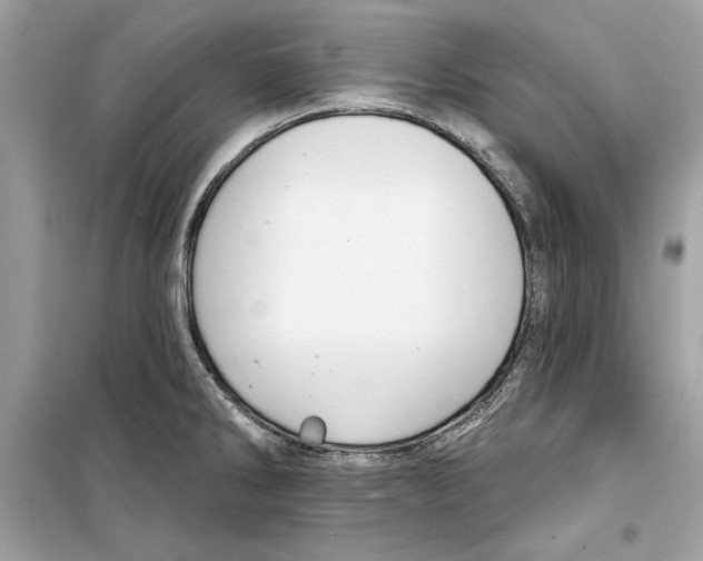 X0000098171286200805221507