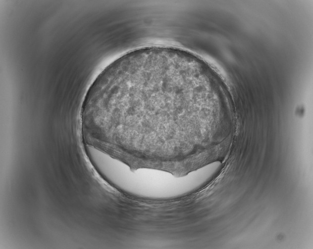 X0000098171287200805221507