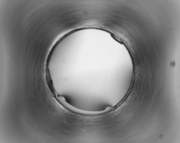 X0000098171288200805221507