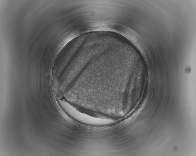 X0000098171289200805221507