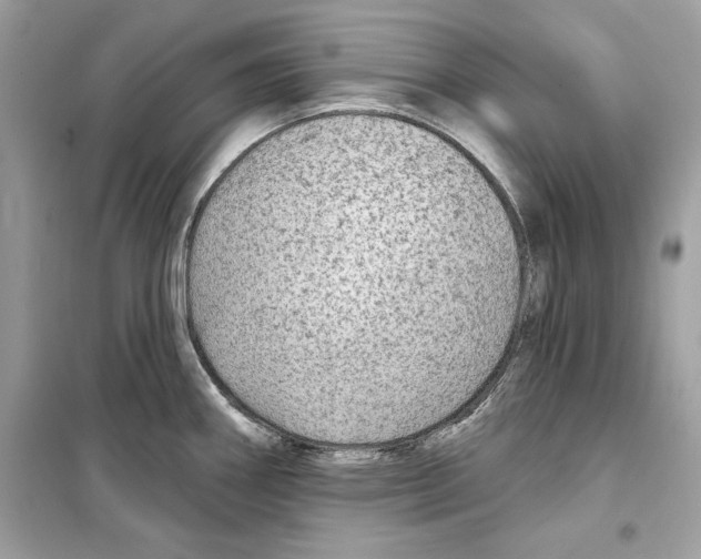 X0000098171290200805221507