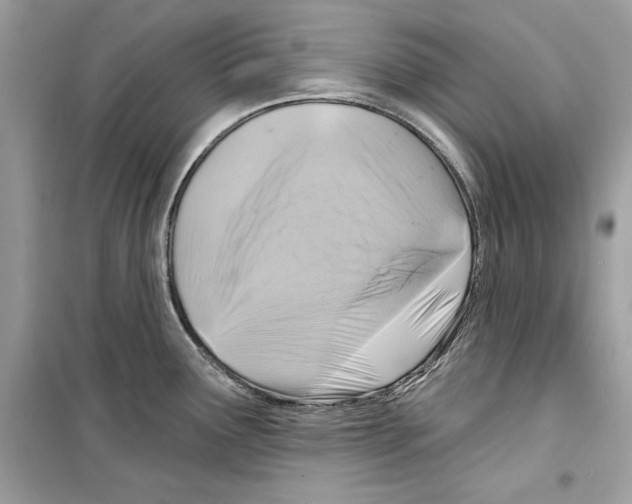 X0000098171291200805221507