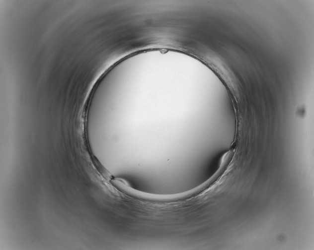 X0000098171292200805221507