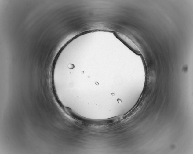 X0000098171293200805221507