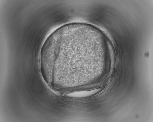 X0000098171295200805221507