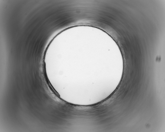 X0000098171296200805221507