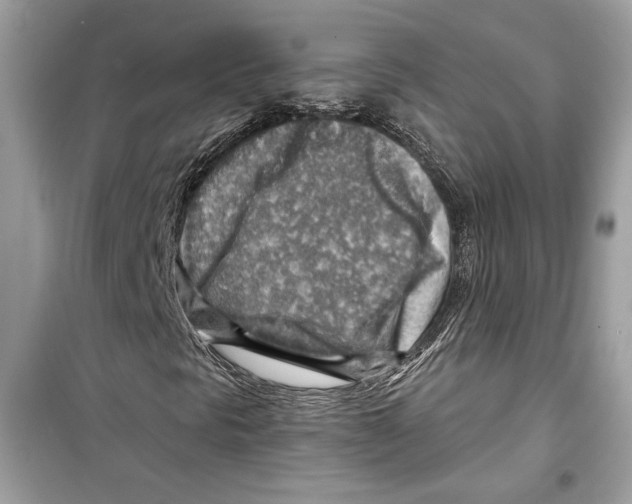 X0000098171297200805221506