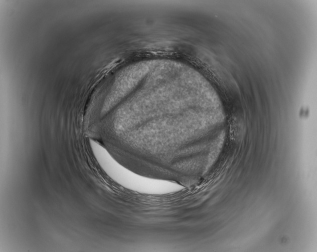 X0000098171298200805221506