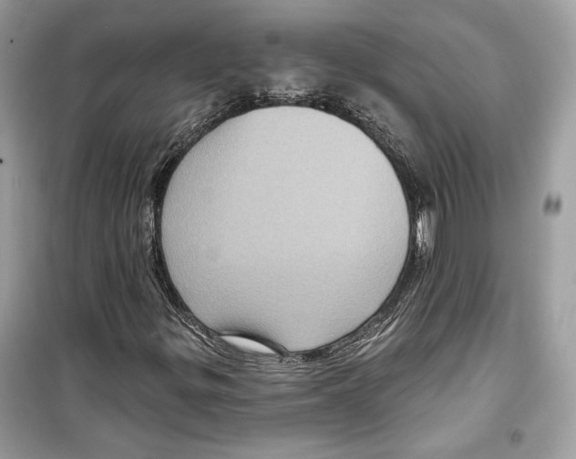 X0000098171299200805221506