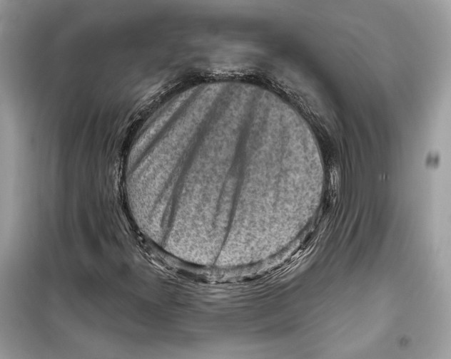 X0000098171300200805221506