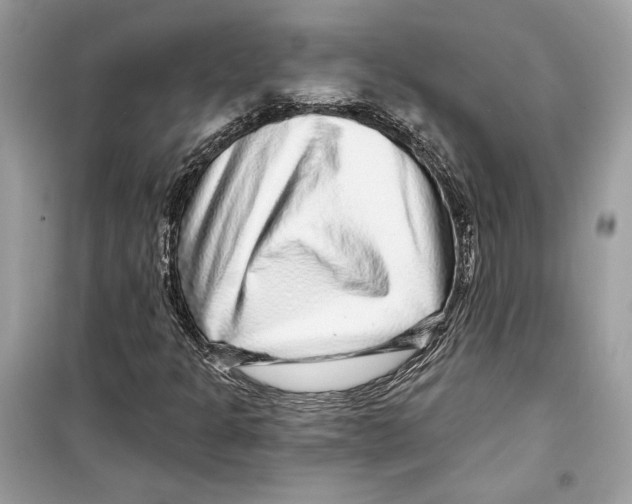 X0000098171301200805221506