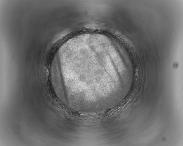 X0000098171302200805221506