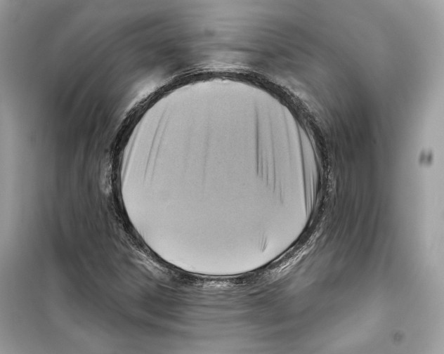 X0000098171306200805221506