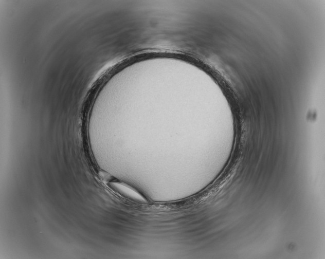 X0000098171307200805221506