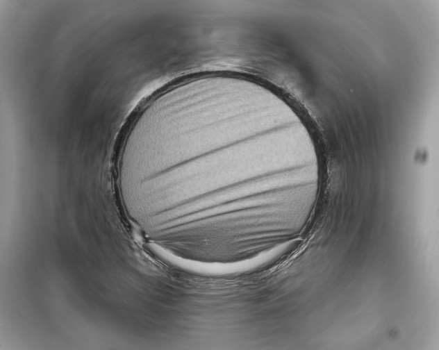 X0000098171308200805221507