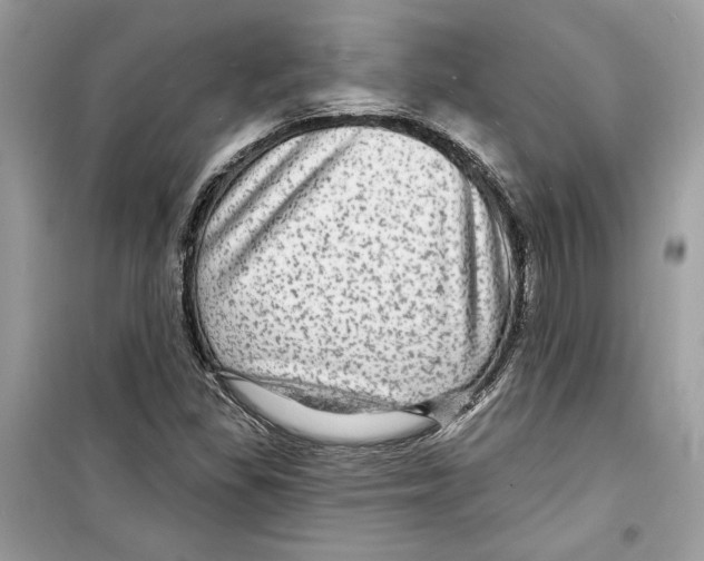 X0000098171309200805221507