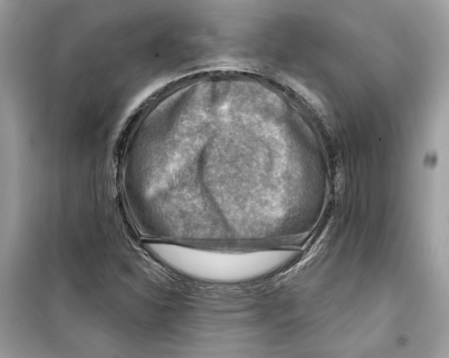 X0000098171310200805221507