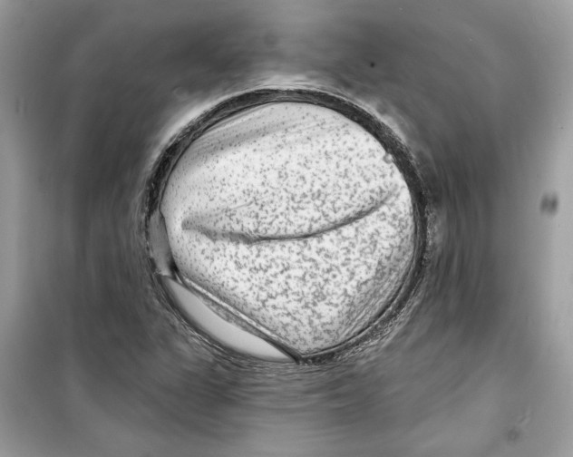 X0000098171311200805221507