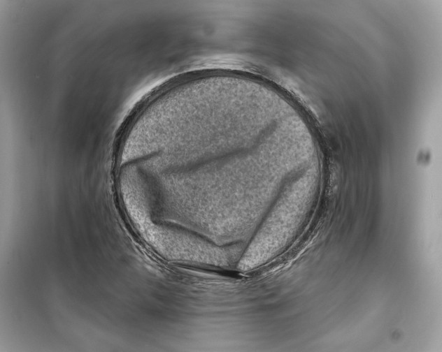 X0000098171312200805221507