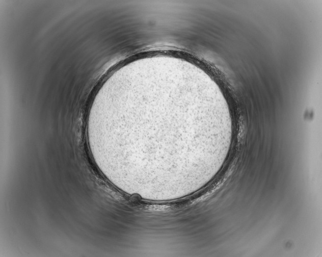 X0000098171313200805221507