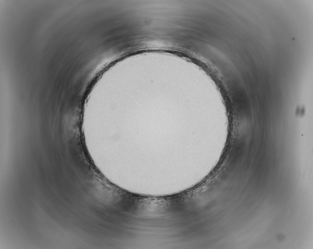 X0000098171314200805221507