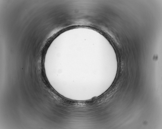 X0000098171315200805221507