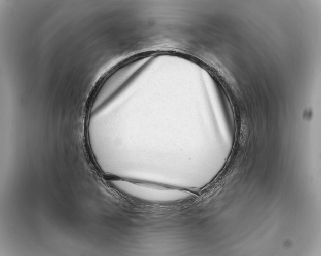 X0000098171316200805221507