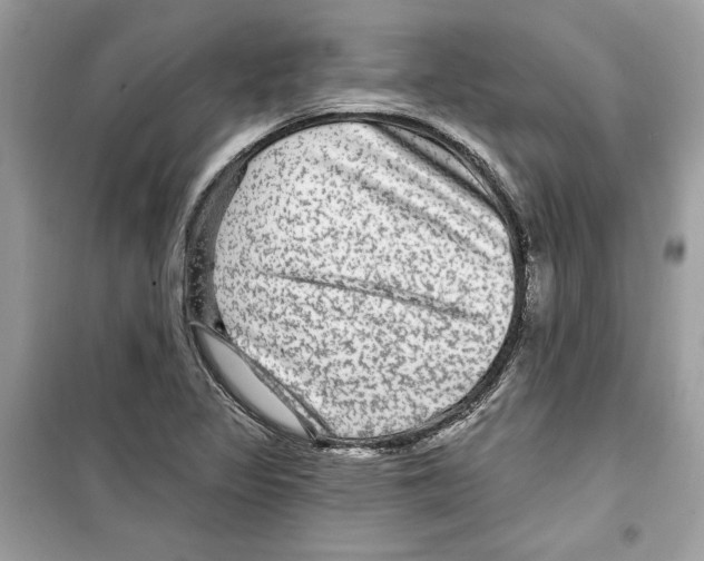 X0000098171317200805221507