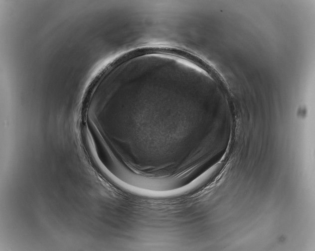 X0000098171319200805221507