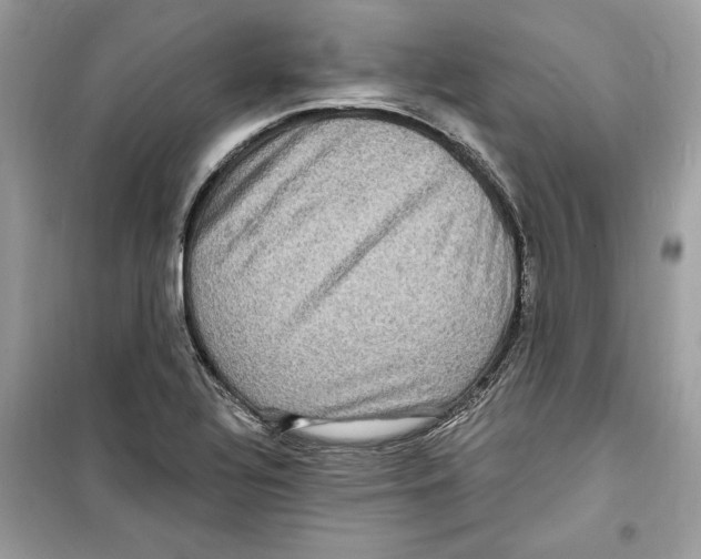 X0000098171320200805221507