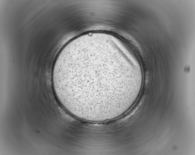 X0000098171321200805221507