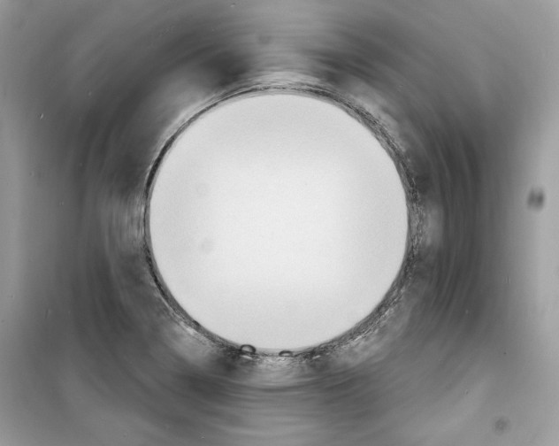 X0000098171322200805221507