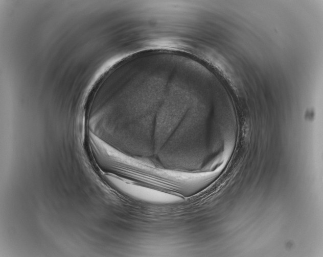 X0000098171323200805221507