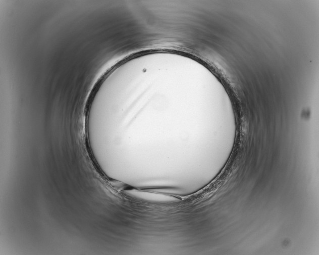 X0000098171324200805221507