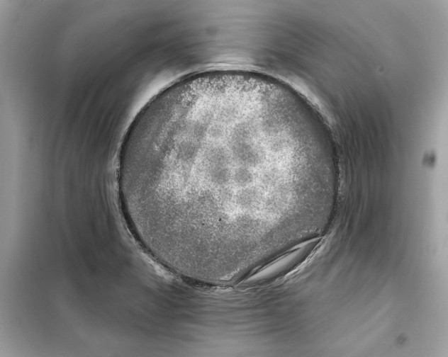 X0000098171325200805221507