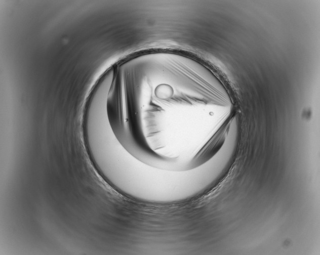 X0000098171326200805221507