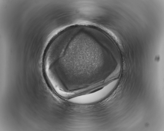 X0000098171327200805221507