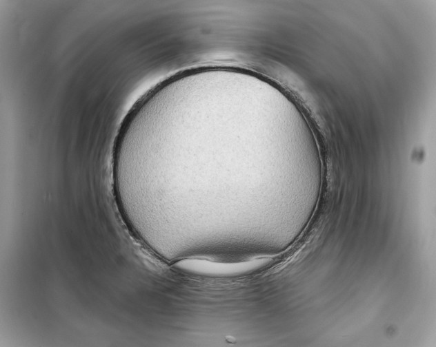 X0000098171328200805221507