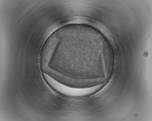 X0000098171329200805221507