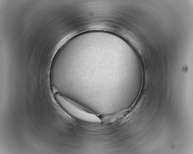 X0000098171330200805221507