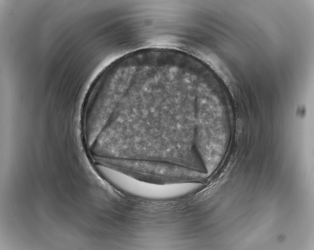 X0000098171331200805221507