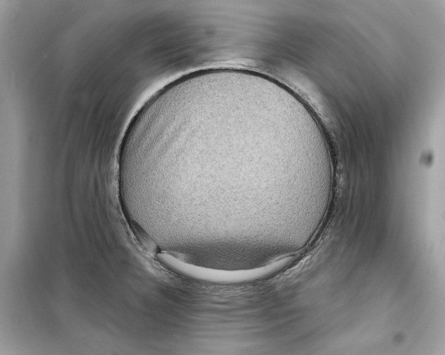 X0000098171332200805221507