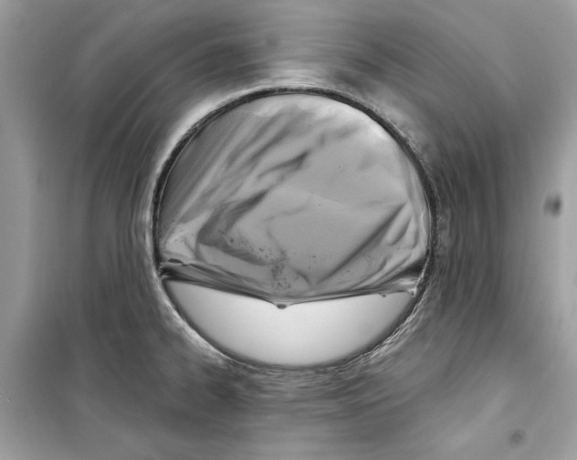 X0000098171334200805221507