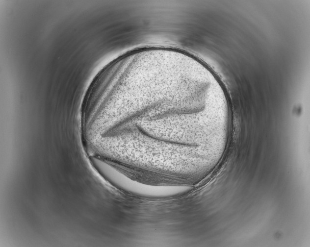 X0000098171335200805221507