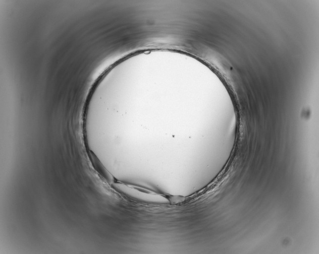 X0000098171336200805221507