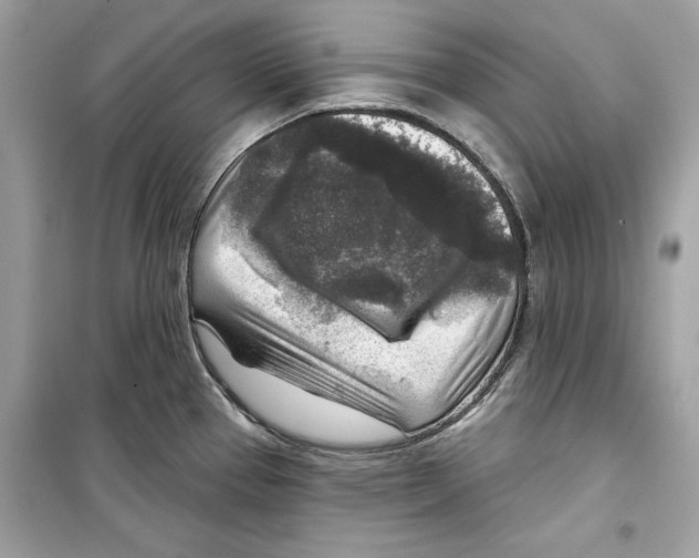 X0000098171337200805221507