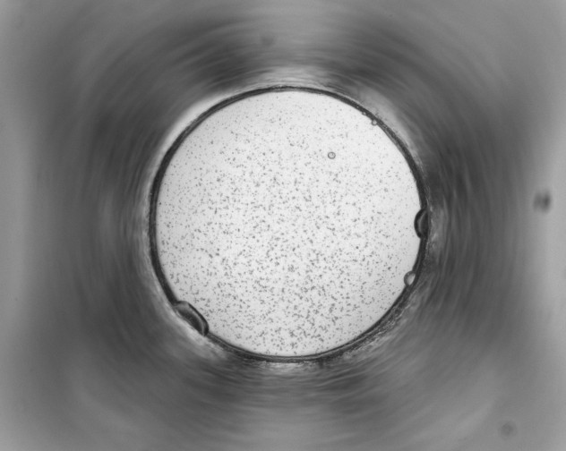 X0000098171339200805221507